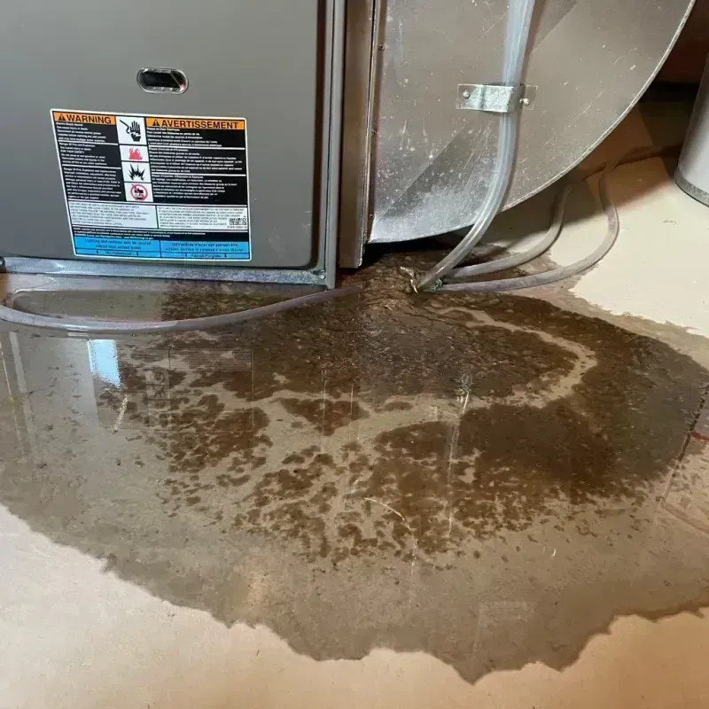 Appliance Leak Cleanup in Mascoutah, IL